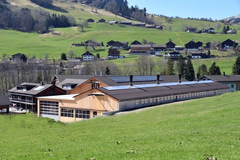 Der Hof im Frühling mit Solarmodulen auf dem Stall- und Hallendach