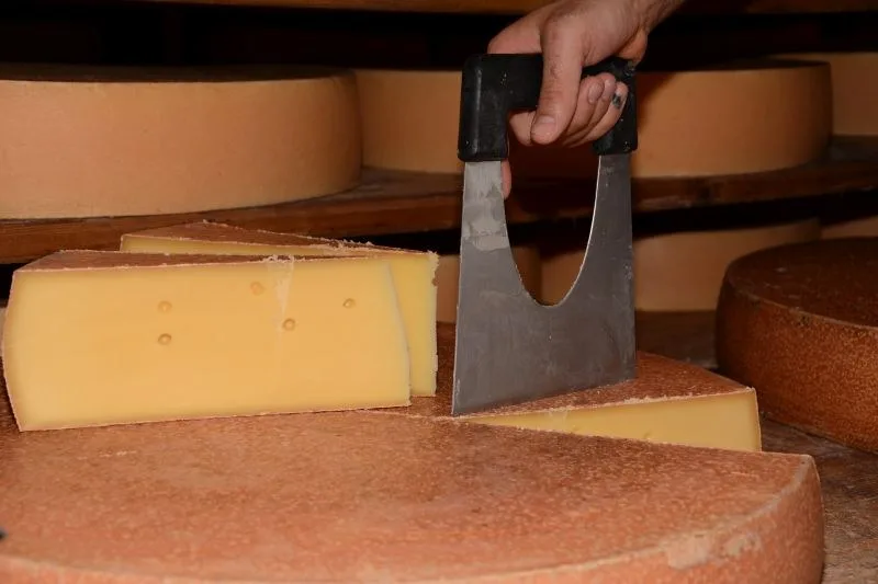 Anschnitt eines Bergkäselaibs mit dem Käsemesser im Keller