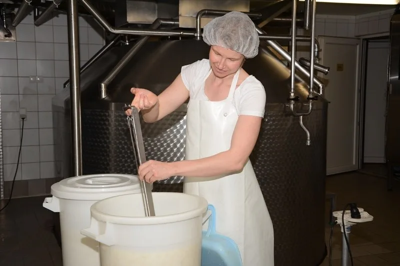 Klaudia am Sennkessel beim Abfüllen des Käsebruchs in Kübel
