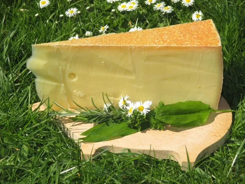 Angeschnittener Laib Bergkäse mild auf einem Holzbrett