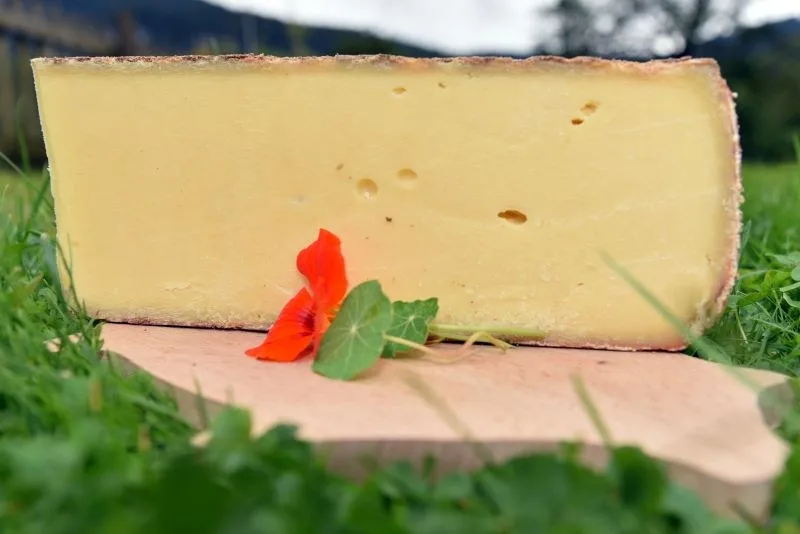 Angeschnittener Laib Bergkäse SPEZIAL auf einem Holzbrett