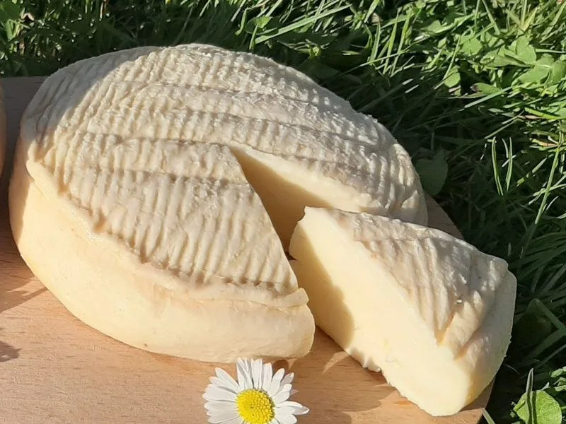 Münster, ein Weichkäse vom Mooshof