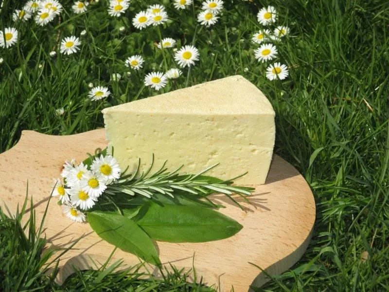 Stück Räßkäse vom Mooshof